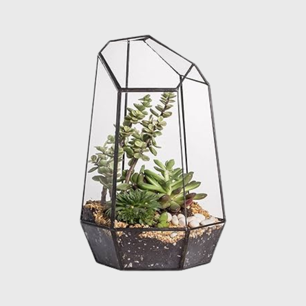 This stylish, modern black-framed design is intended to create a self-sustaining ecosystem by maintaining humidity for plants like moss.