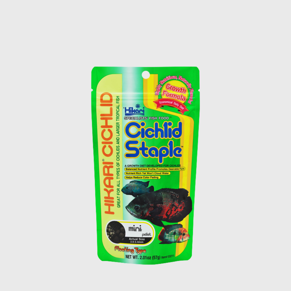 Hikari Cichlid Staple is an economical, daily, floating pellet diet for all types of cichlids and larger tropical fish designed to promote healthy growth and support immune system health. 