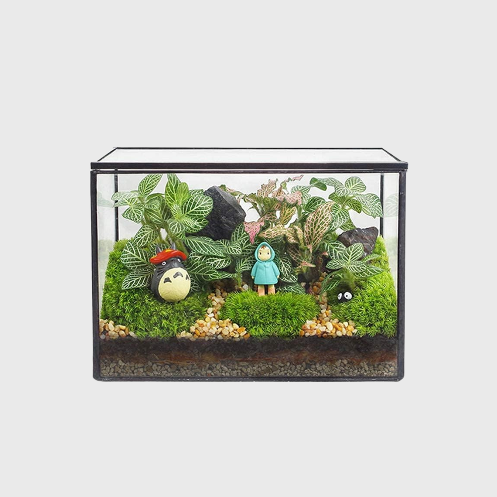 Rectangle terrariums are available in various materials and designs, including modern glass or acrylic options with features such as hinged doors, secure ventilation, and stackable designs, suitable for plants or small reptiles.