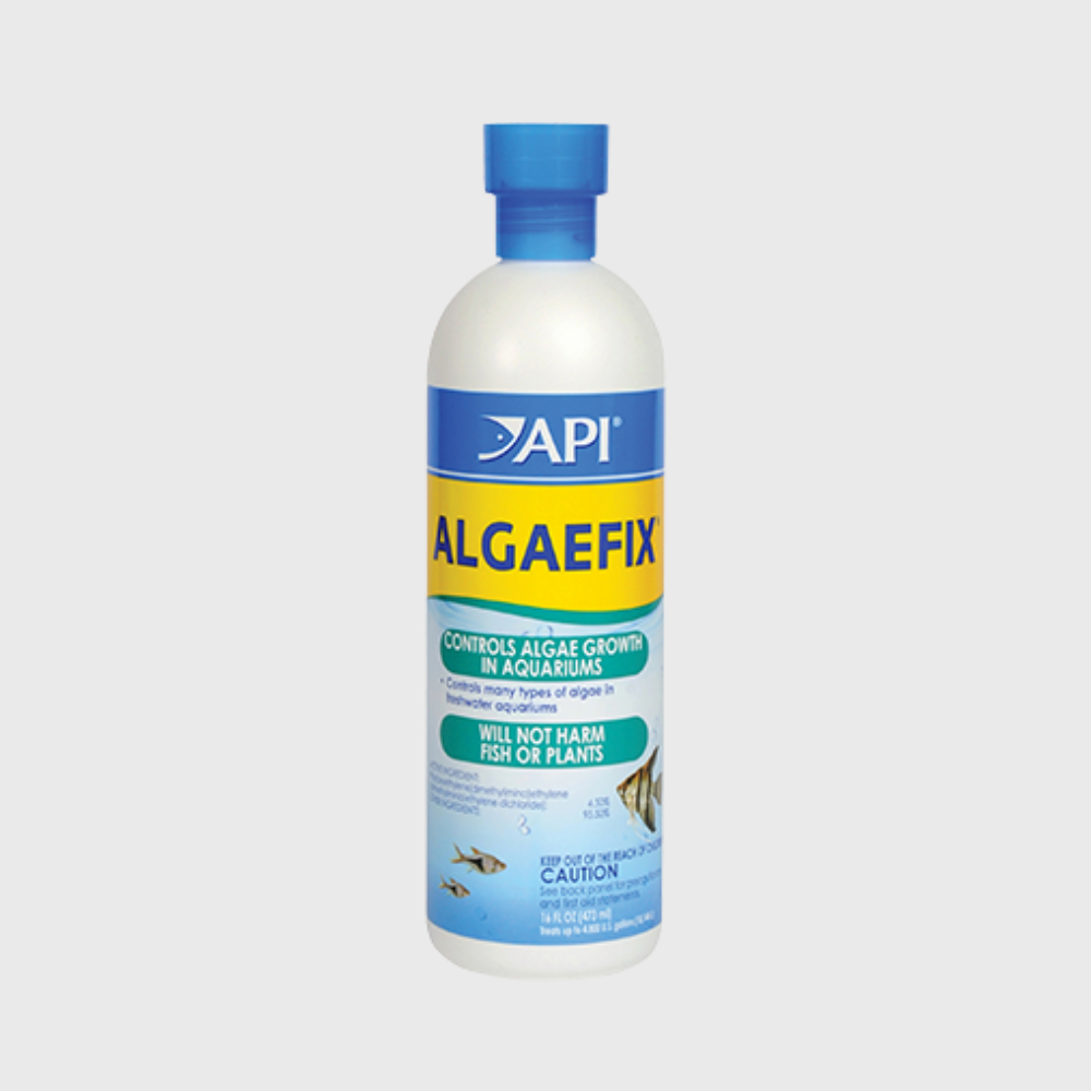 API Algaefix 4oz