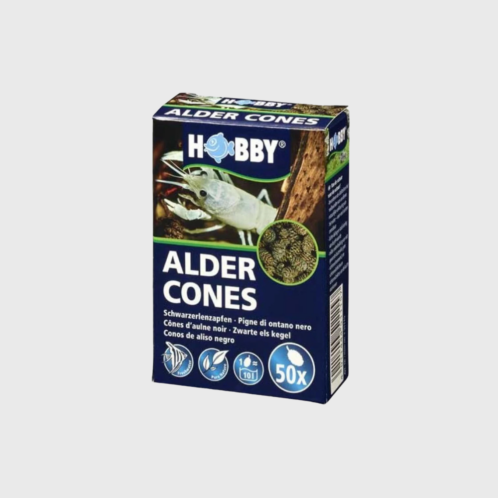 Hobby Alder Cones 50 pcs