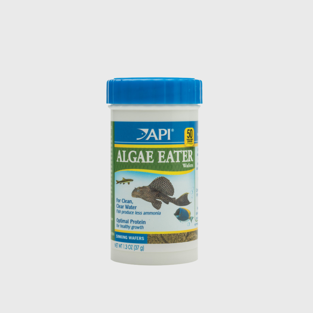 API Algae Eater Wafers Fish Food 1.3 oz