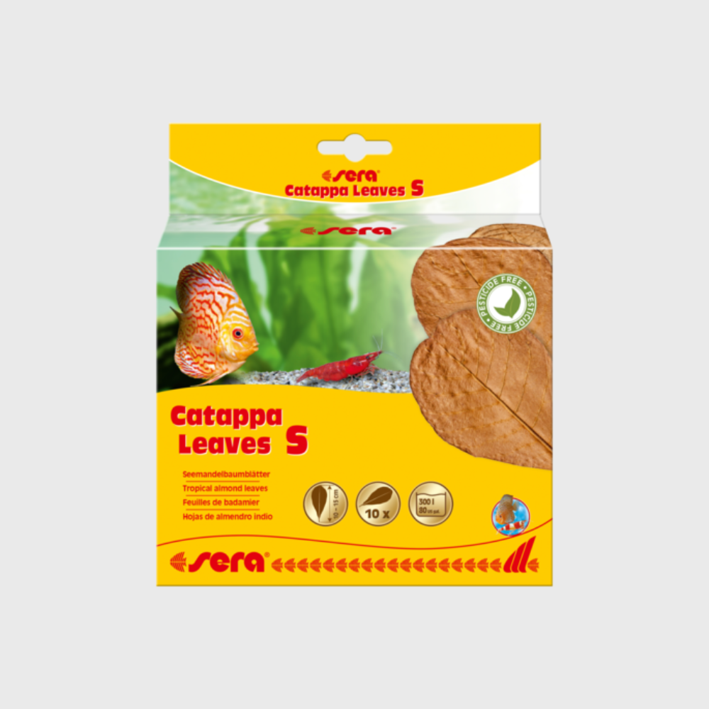 Sera Catappa Leaves- S (10pcs)