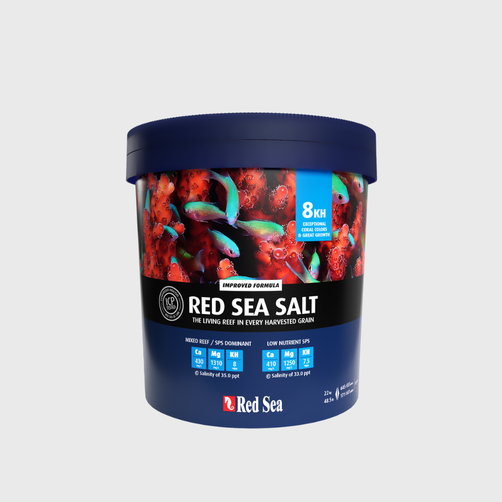 Red Sea Salt