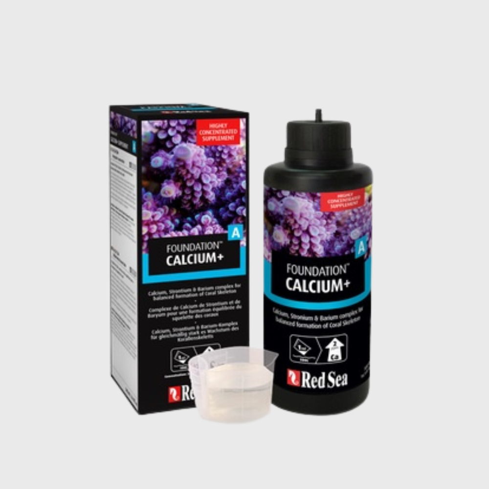 Red Sea Foundation A Calcium+