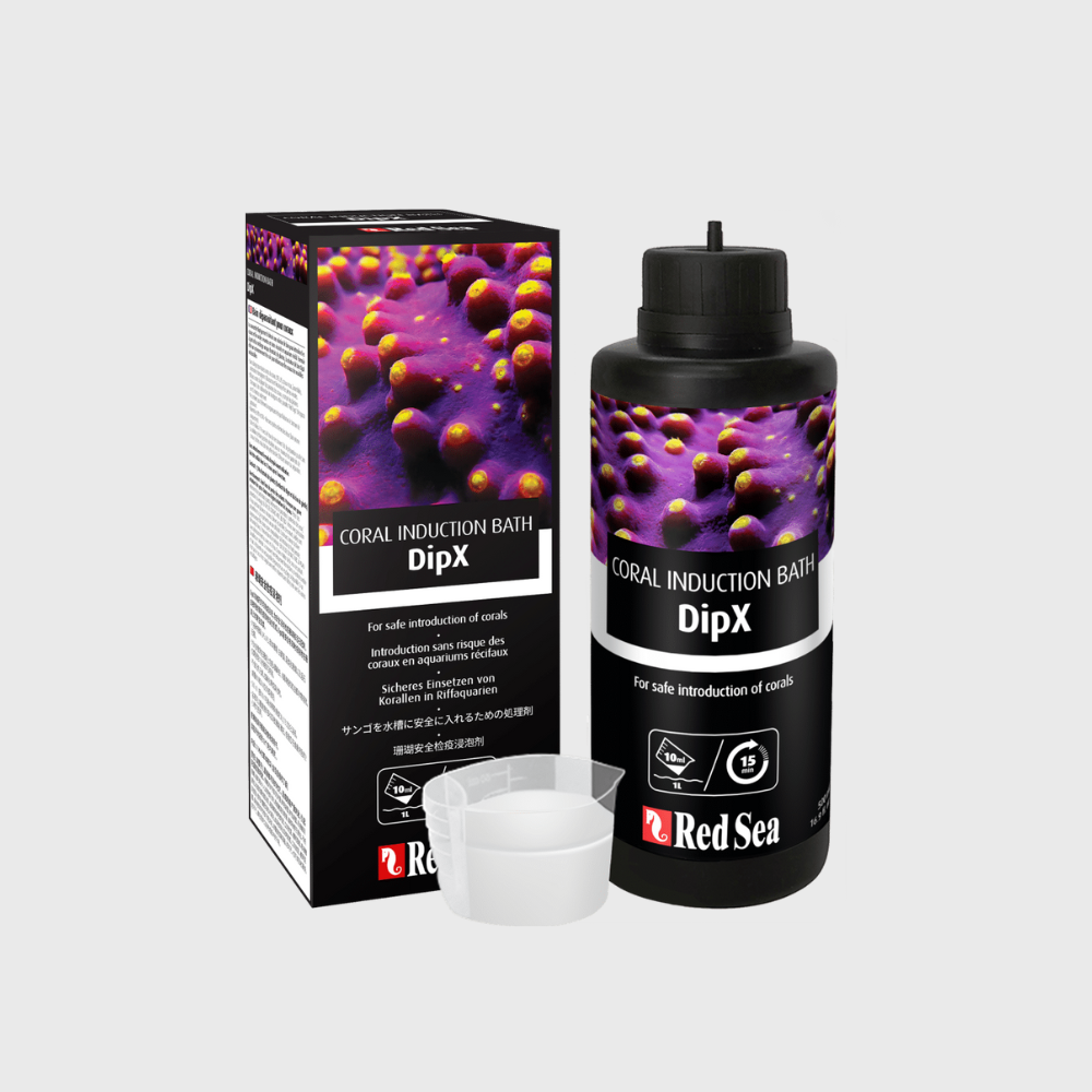 Red Sea Coral Induction Bath DipX