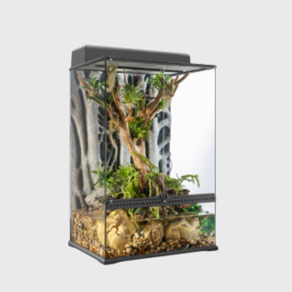 Exo Terra Advanced Paludarium & Rainforest Terrarium  Medium (60x45x90cm)