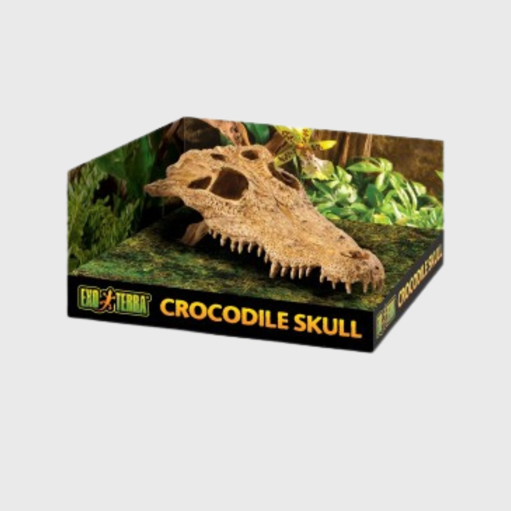 Exo Terra Crocodile Skull
