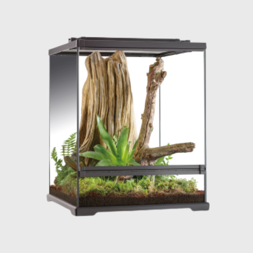 Exo Terra Dart Frog Terrarium Amphibian Habitat (45x45x60cm)