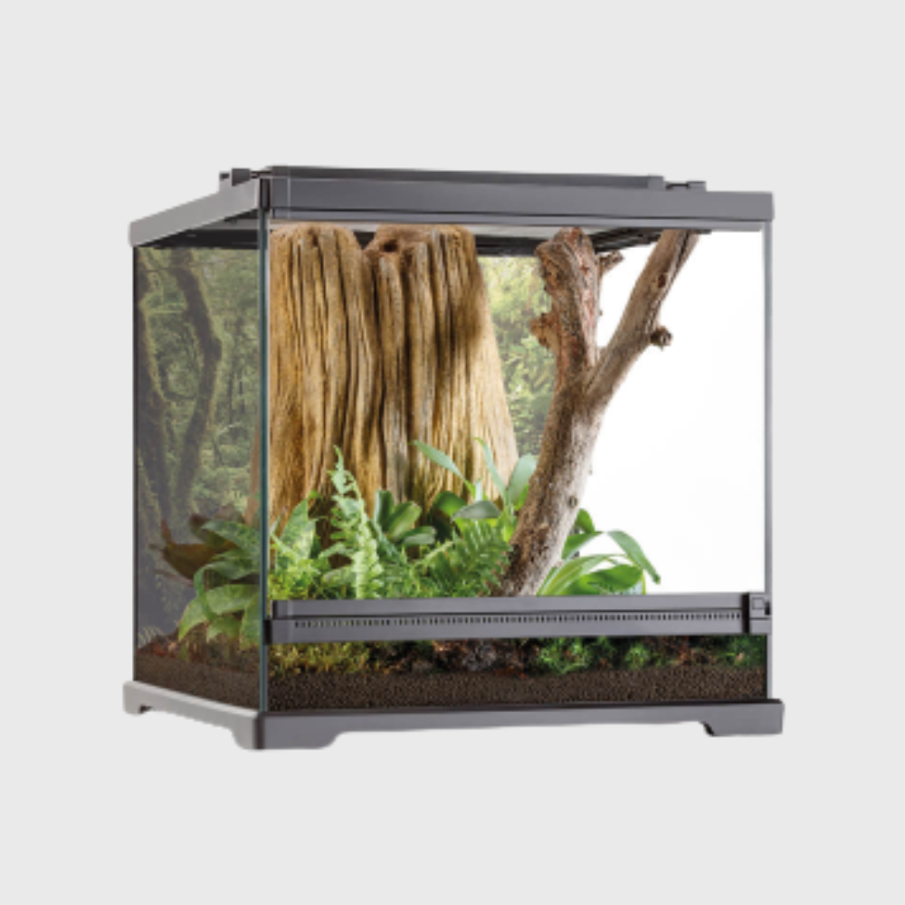 Exo Terra Dart Frog Terrarium Amphibian Habitat (45x45x45cm)