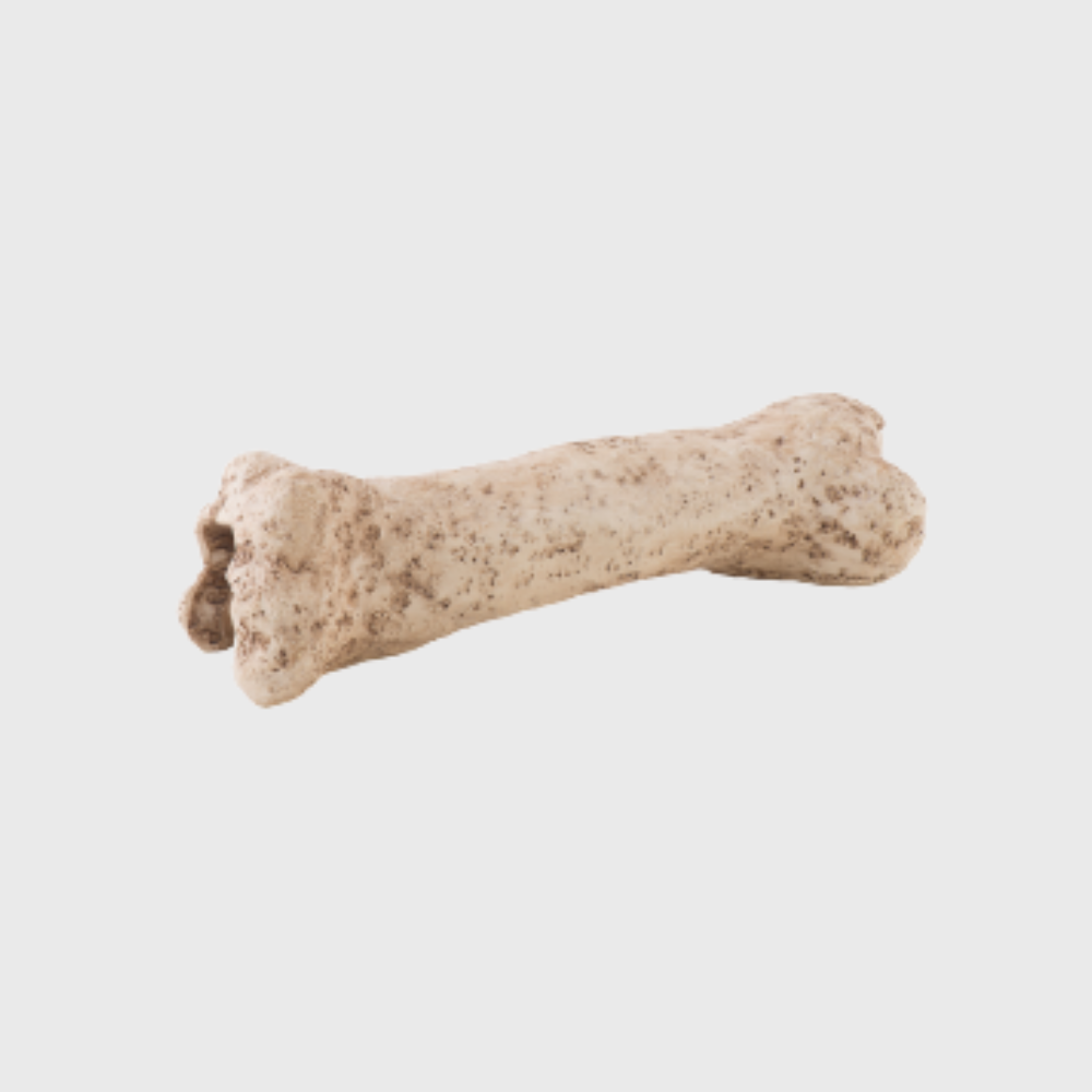 Exo Terra Dinosaur Bone