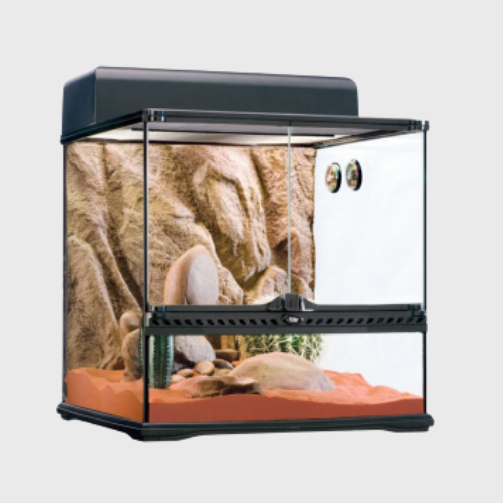 Exo Terra Habitat Kit Desert Medium