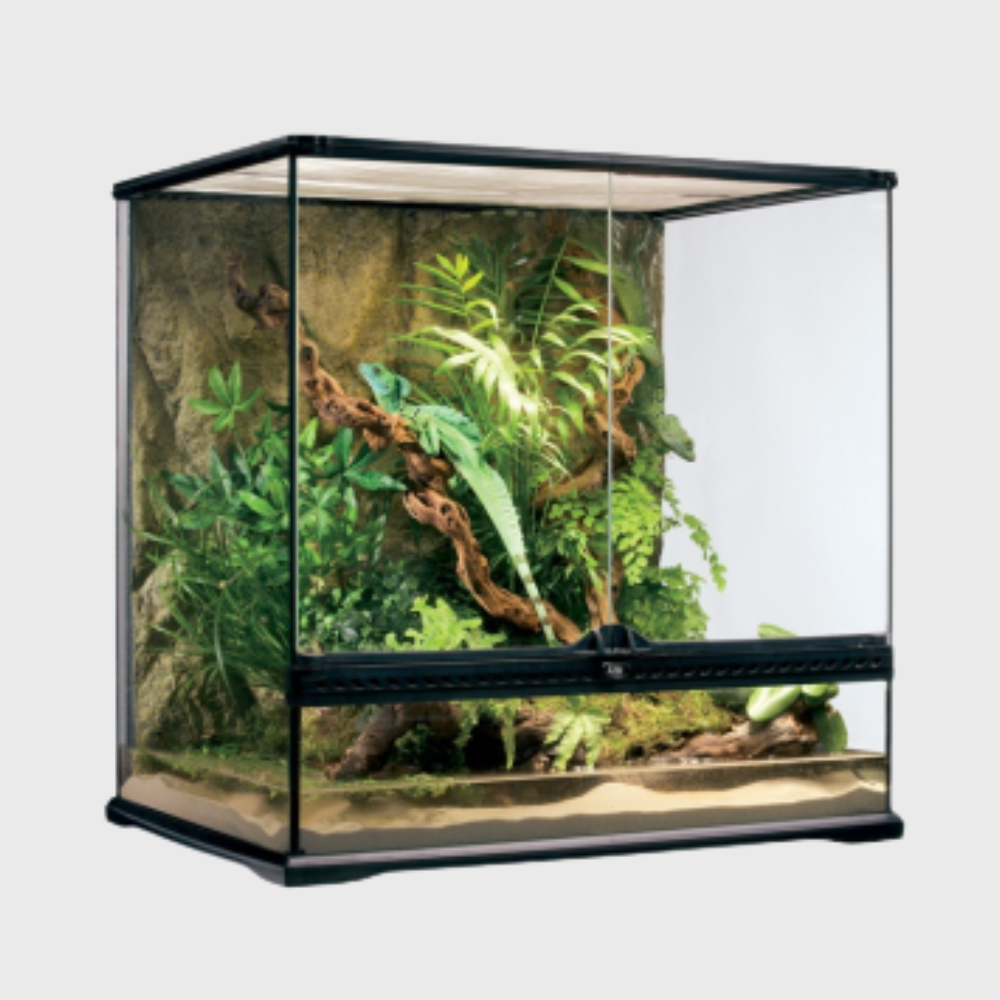 Exo Terra Natural Terrarium Medium-Tall (60x45x60cm)