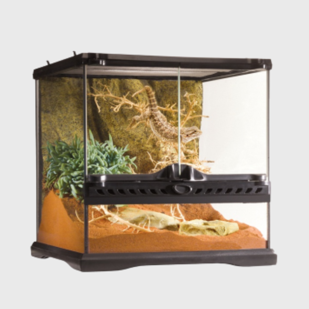 Exo Terra Natural Terrarium Mini-Wide (30x30x30cm)