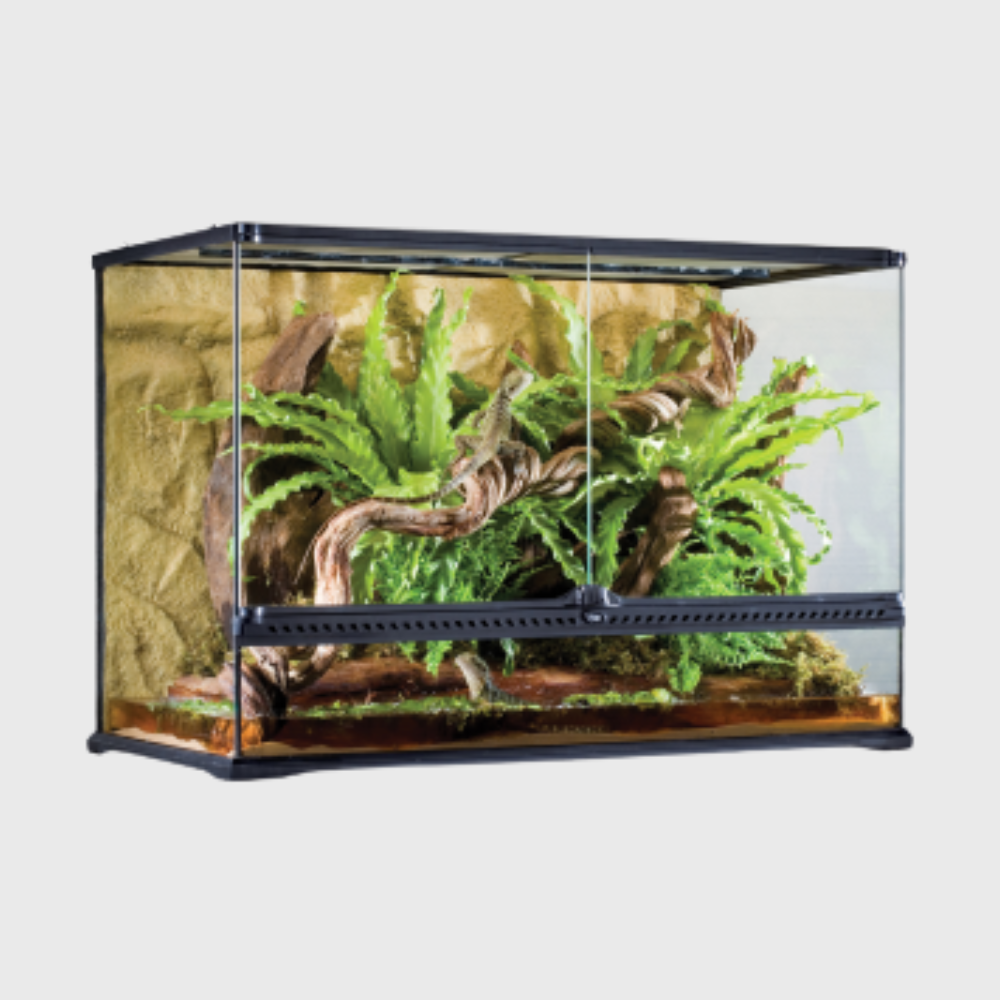 Exo Terra Tall Terrarium Large (90x45x60cm)