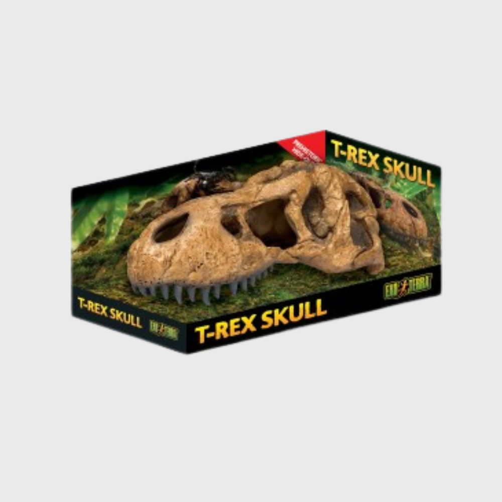 Exo Terra T-Rex Skull Fossil Hide Out
