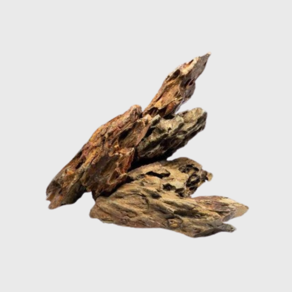 Alveolate Aquarium Rock