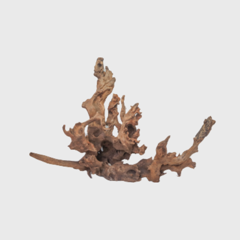 DriftWood Brown XLarge (50-80cm)