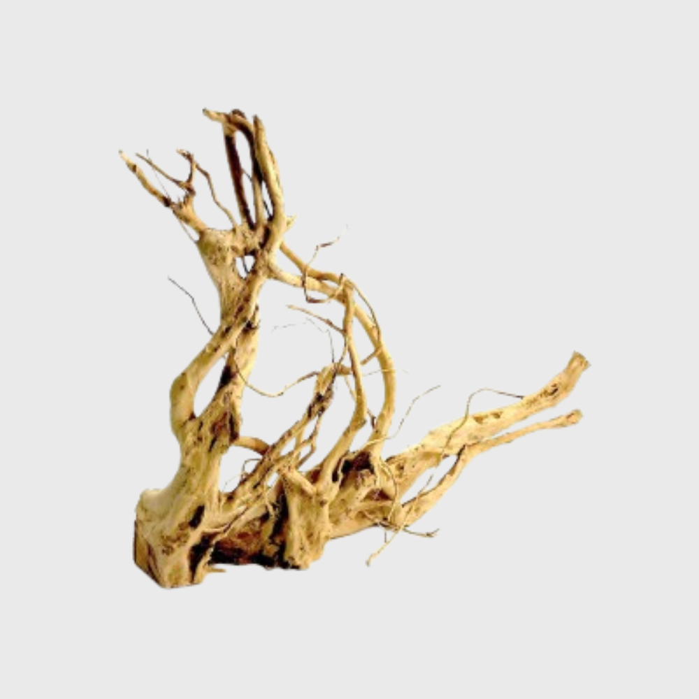 Wood Root XLarge (60-80cm)