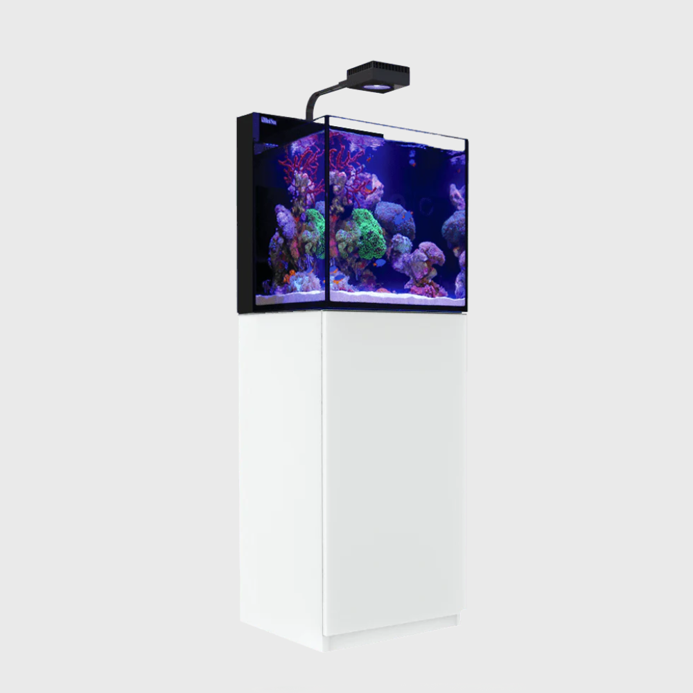 Red Sea Max Nano Cube