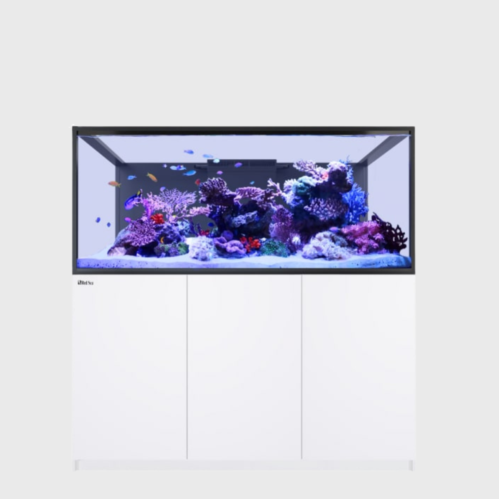 Red Sea Reefer 750 G3