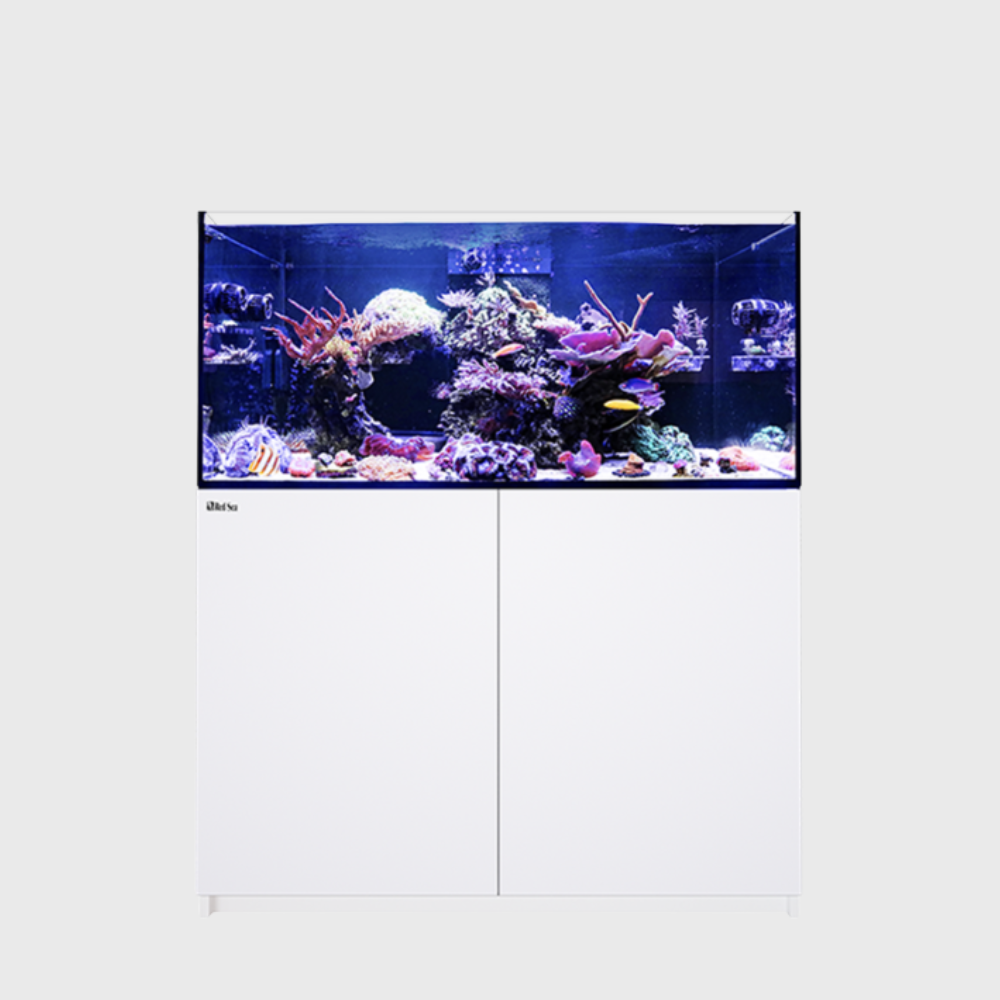 Red Sea Reefer 425 G3