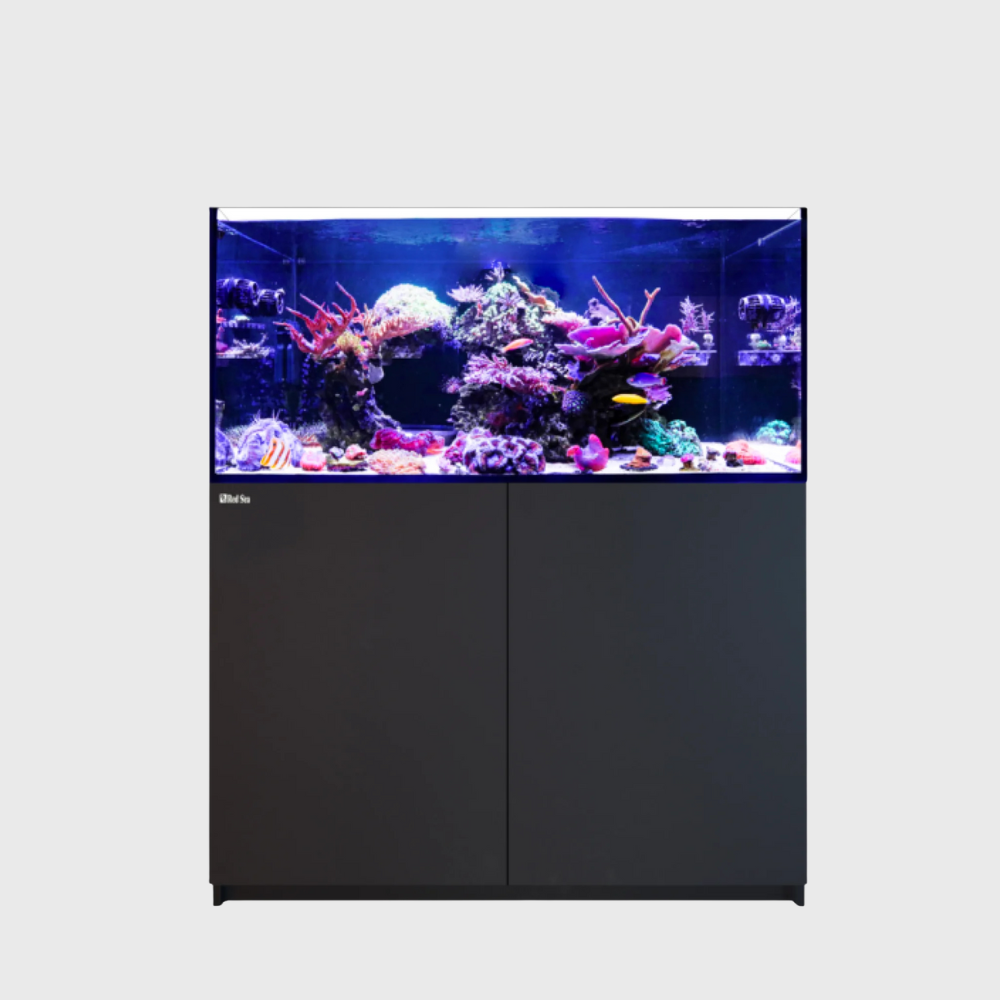 Red Sea Reefer 425 G3