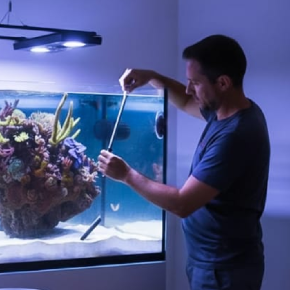Aquarium Maintenance | Reef Aquarium
