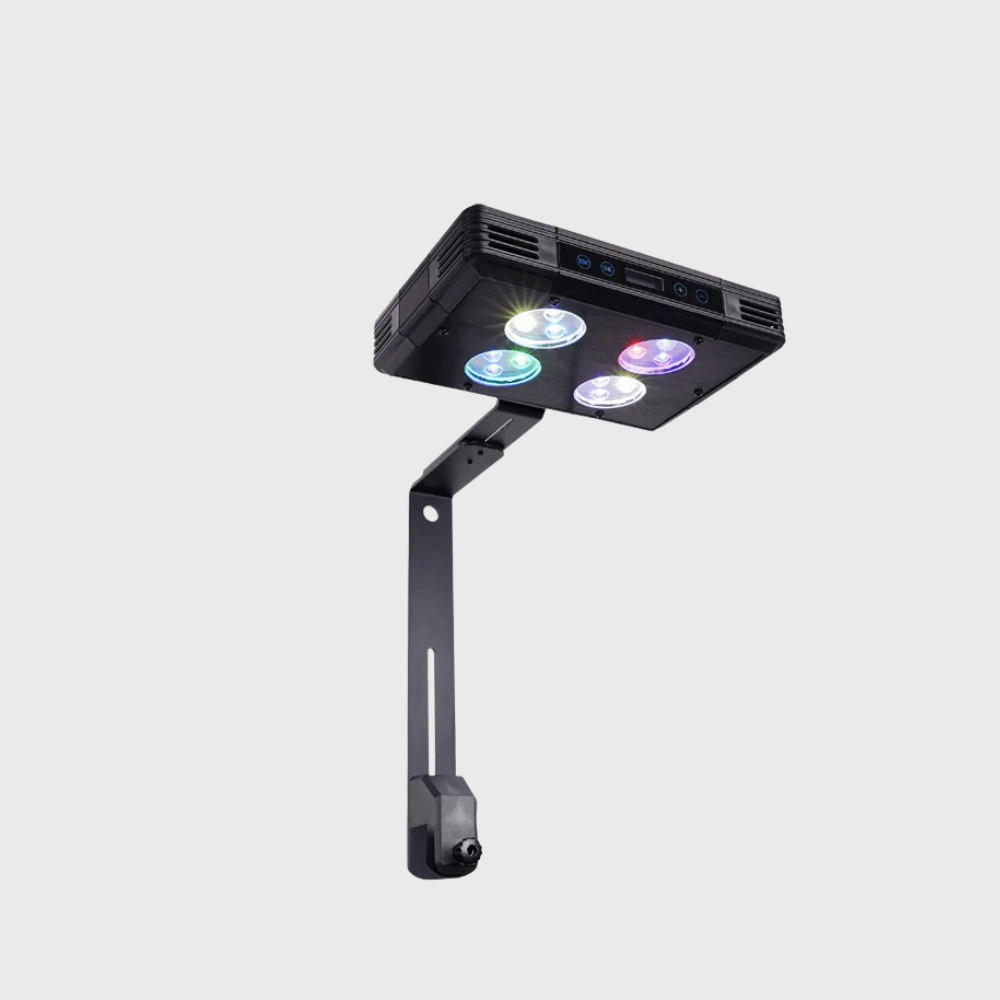 Gako Nano Choice A052 Coral Light