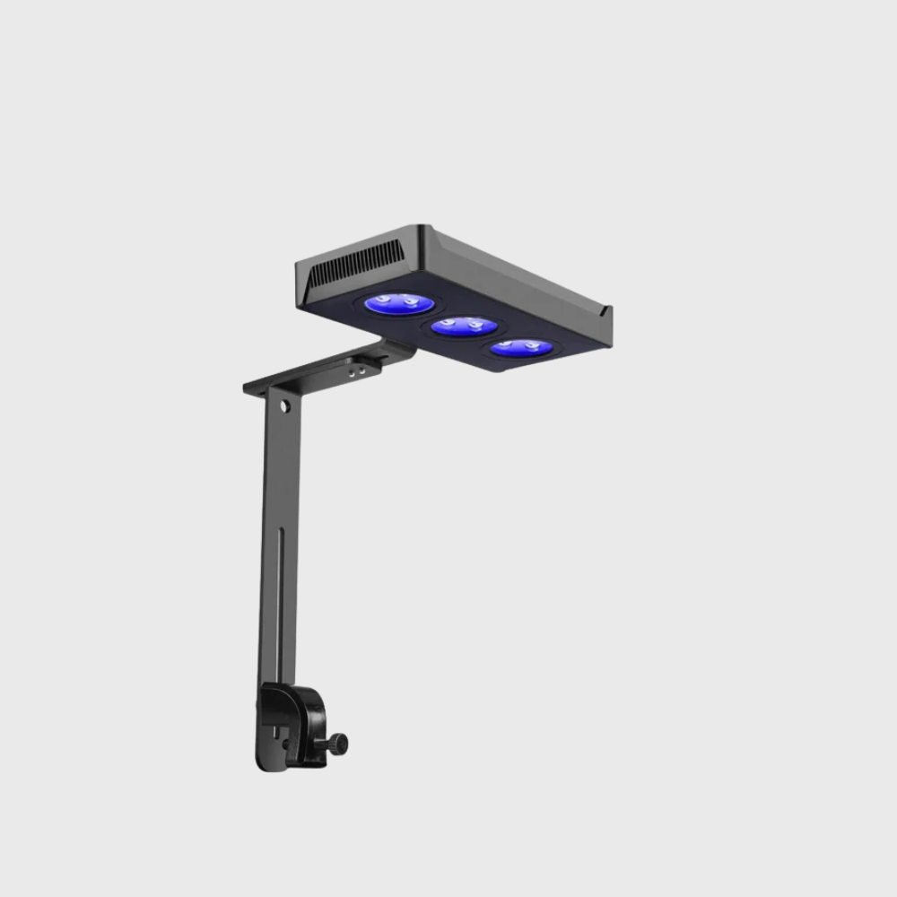 Gako Nano Choice A030 Coral Light