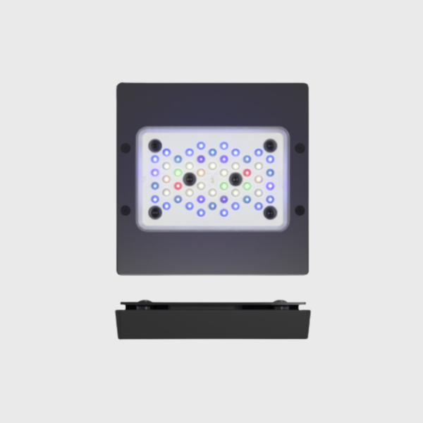 Ecotech Radion XR15 G5 PRO | Buy Aquarium Products & Accessories in Abu ...