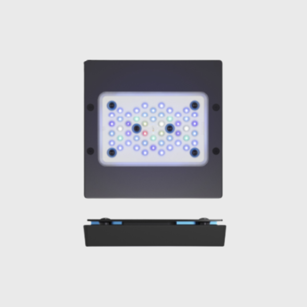 Ecorium R5 Ecotech Radion XR15 G5 BLUE | Buy Aquarium Products & Accessories in ...