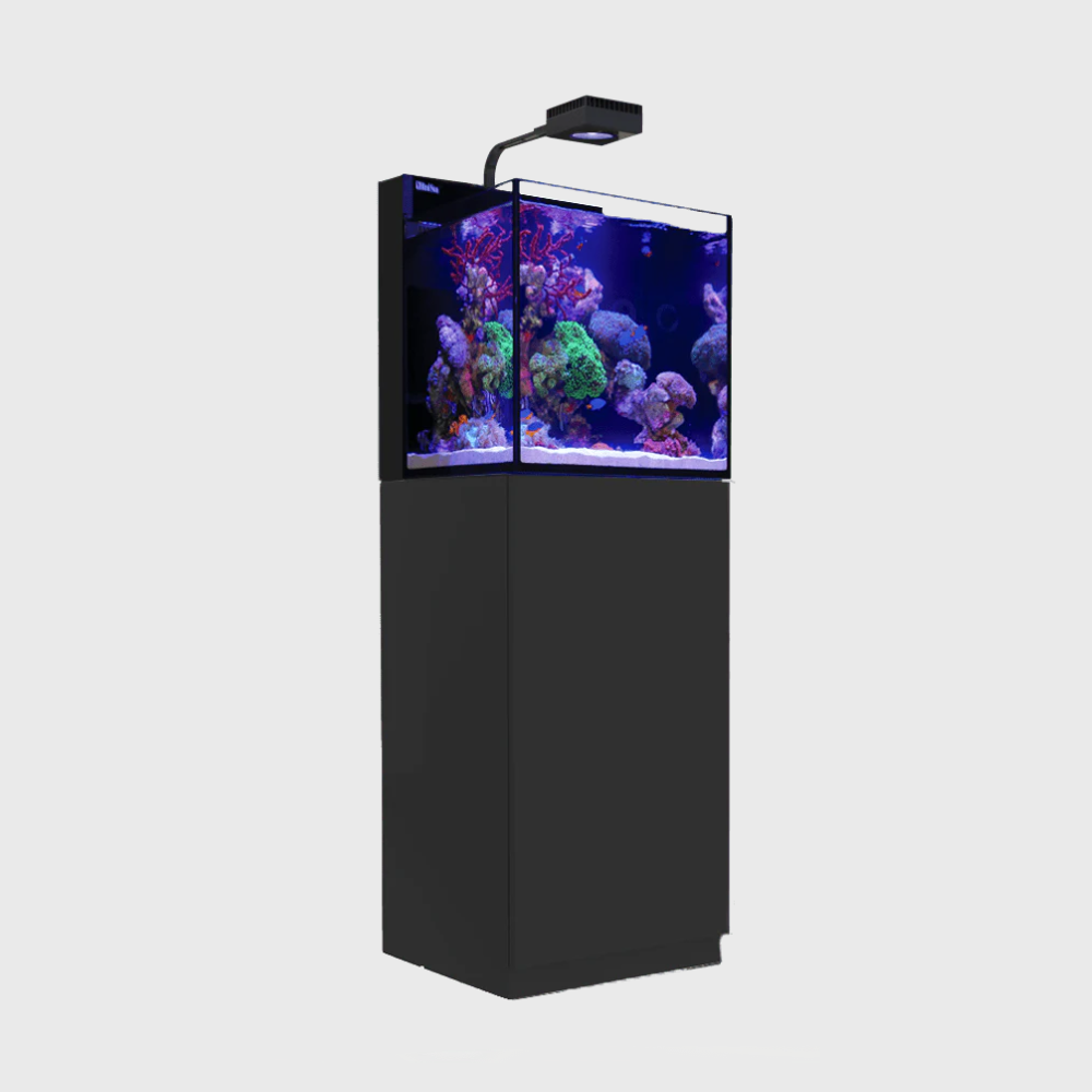 Red Sea Max Nano Cube