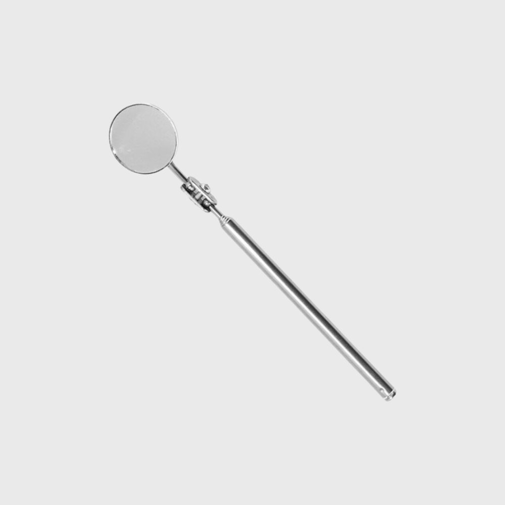 Betta Fish Flare Mirror